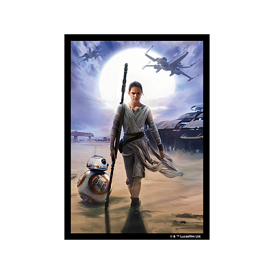 STAR WARS ART SLEEVES REY