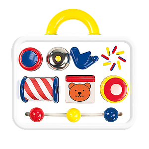 ACTIVITY CASE EN (智力百宝箱 英文版)