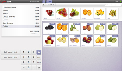 Odoo的图像和文字块